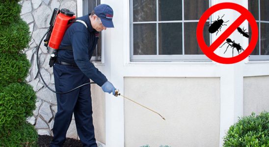 Zonguldak Akrep İlaçlama böcek ilaçlama ve haşere kontrolü — ilaclama-tr.com